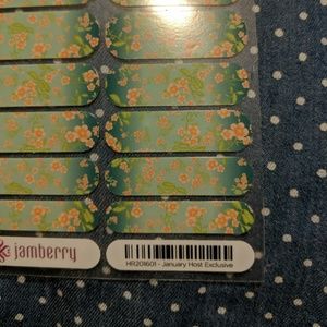 Rare Jamberry Wraps - January Host Exclusive